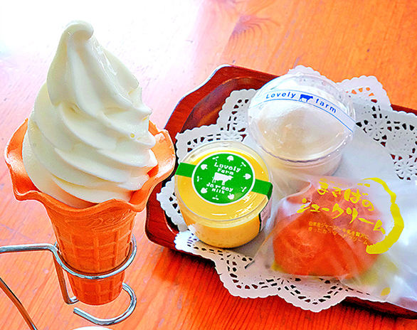 写真01